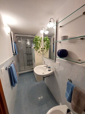 Dusche, Haartrockner, Bidet, Handtücher