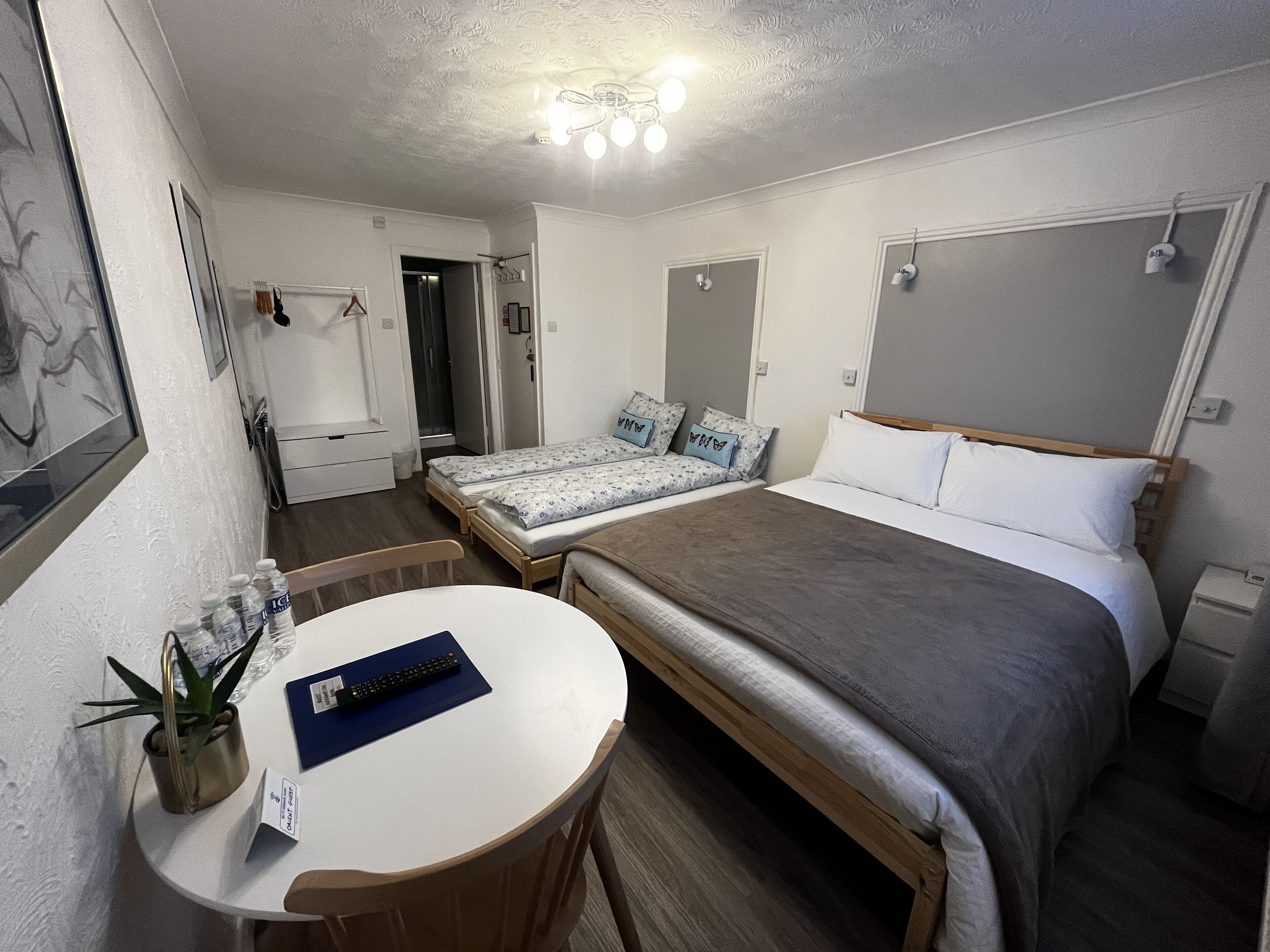 A bedroom with a bed, a desk, and a chair. There is a small table with a plant and a remote control.