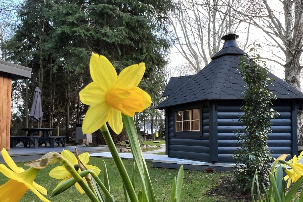 A log cabin with a pitched roof and a window, surrounded by a grassy area with daffodils.