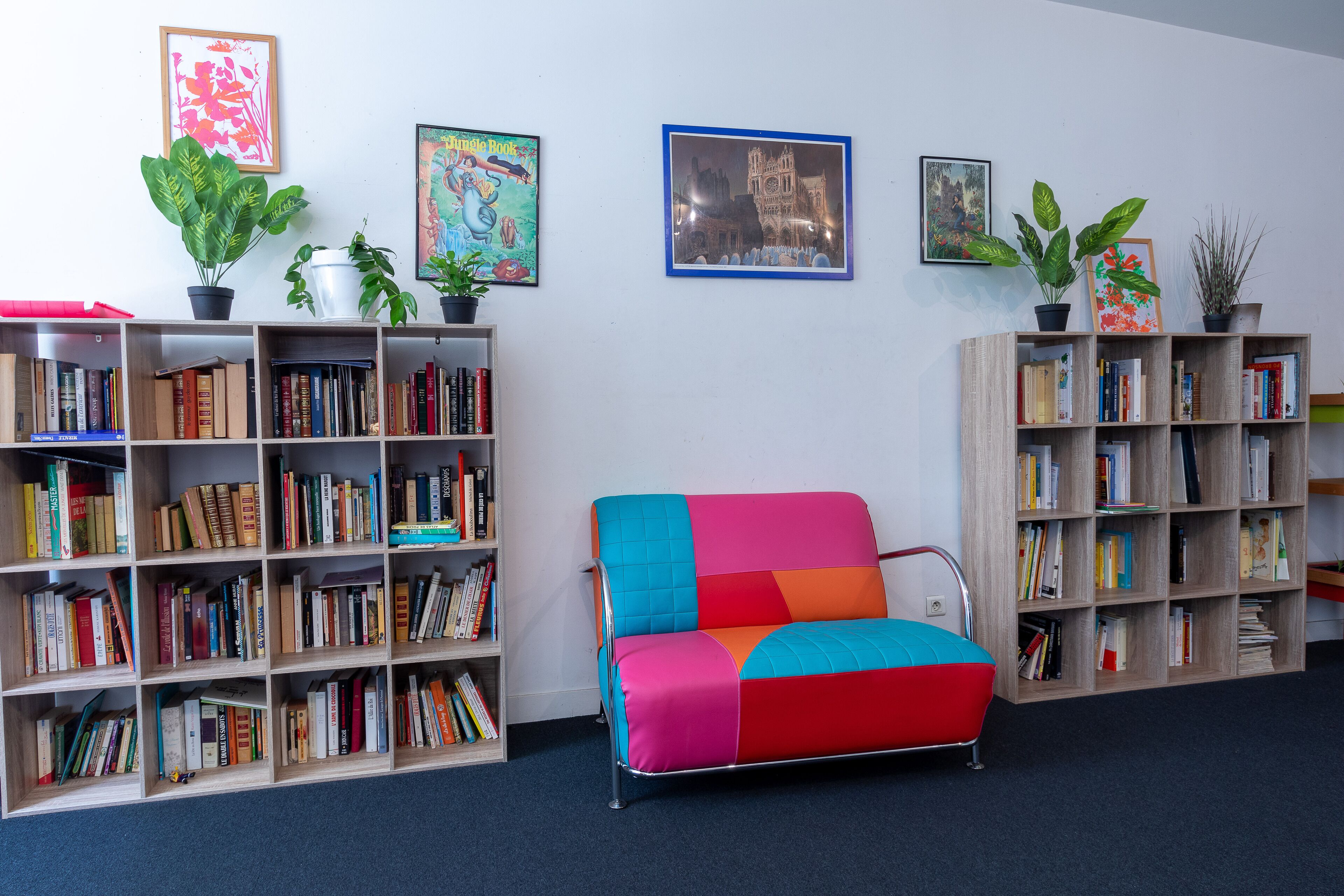 Een kamer met een kleurrijke bank, twee boekenplanken vol boeken en drie potplanten.