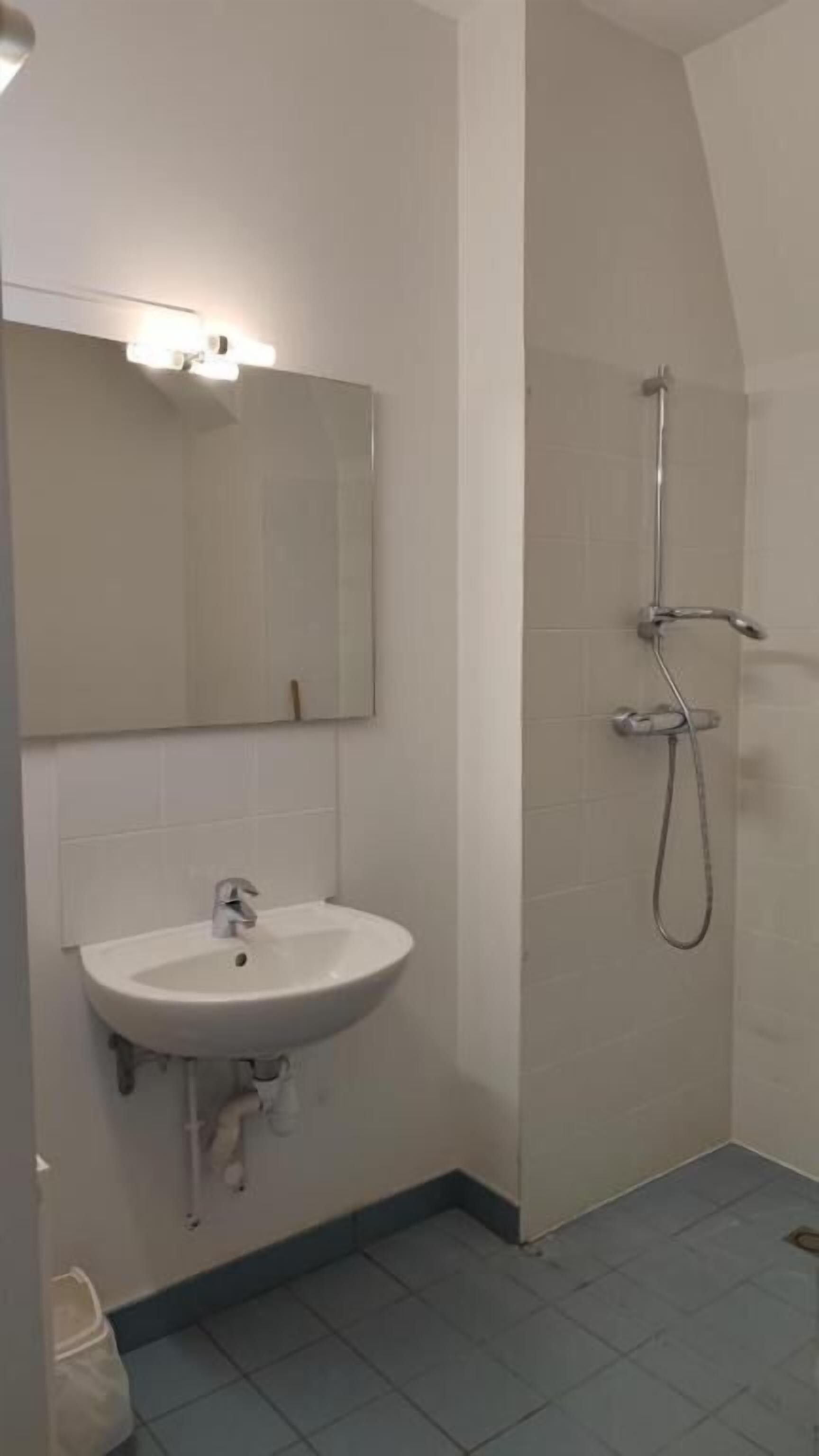 A bathroom with a white sink, a mirror, and a shower.