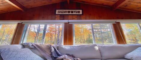 Televisión, chimenea