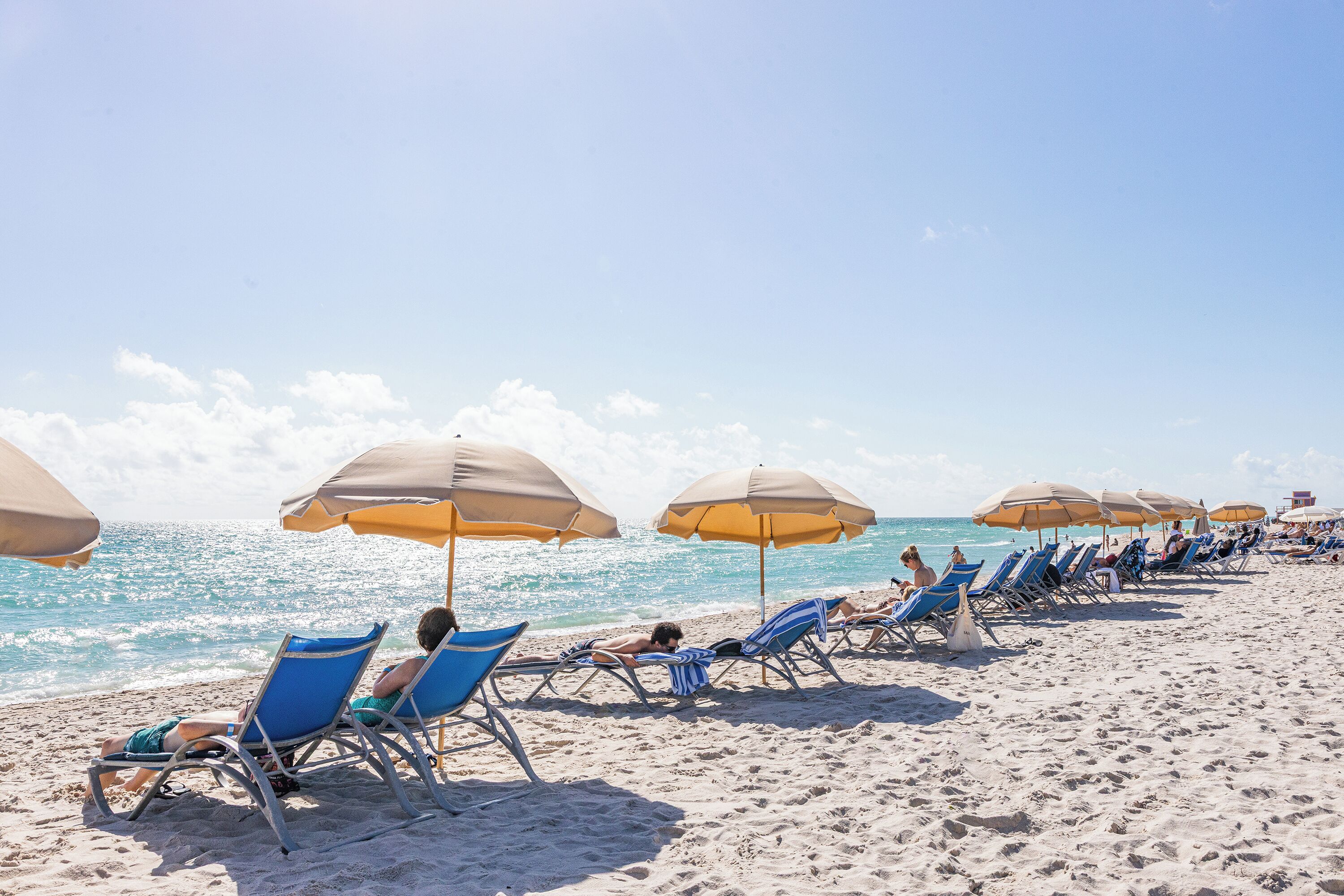 Foto - Sherry Frontenac Oceanfront