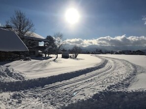 Sneeuw- en skisporten