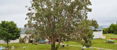 Un espacio al aire libre con césped, varias mesas y sillas, un árbol grande y un edificio al fondo.