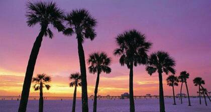 Up to 12 guests - Just min to Clearwater Beach & Indian Rocks Beach