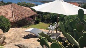 Un patio con una sombrilla blanca, un cactus y vistas al mar y a las montañas.
