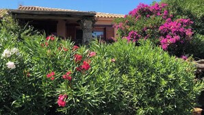 Una casa con tejado de baldosas, rodeada de abundante vegetación y alegres flores rosadas.