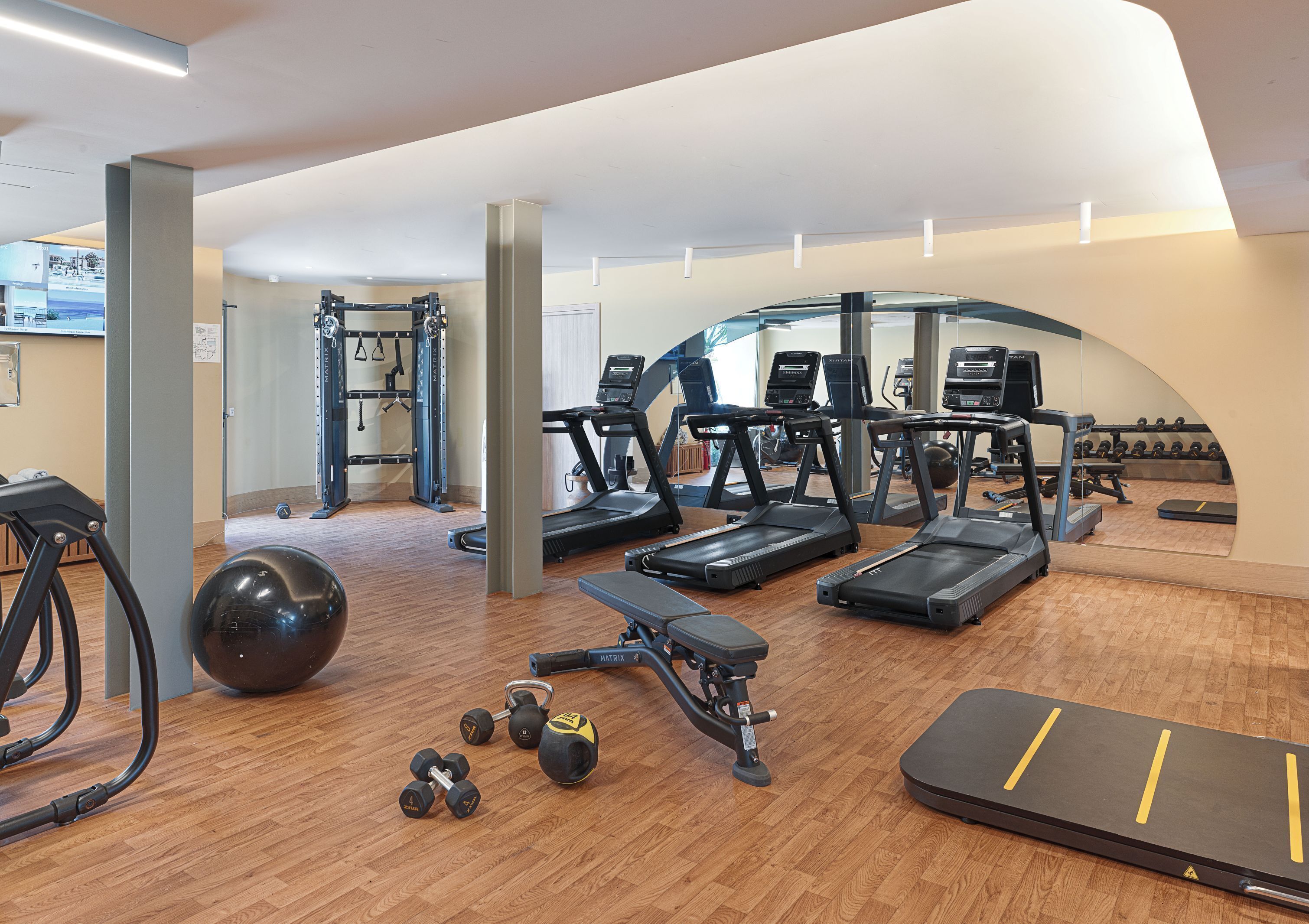 A gym with treadmills, elliptical machines, free weights, and exercise balls.