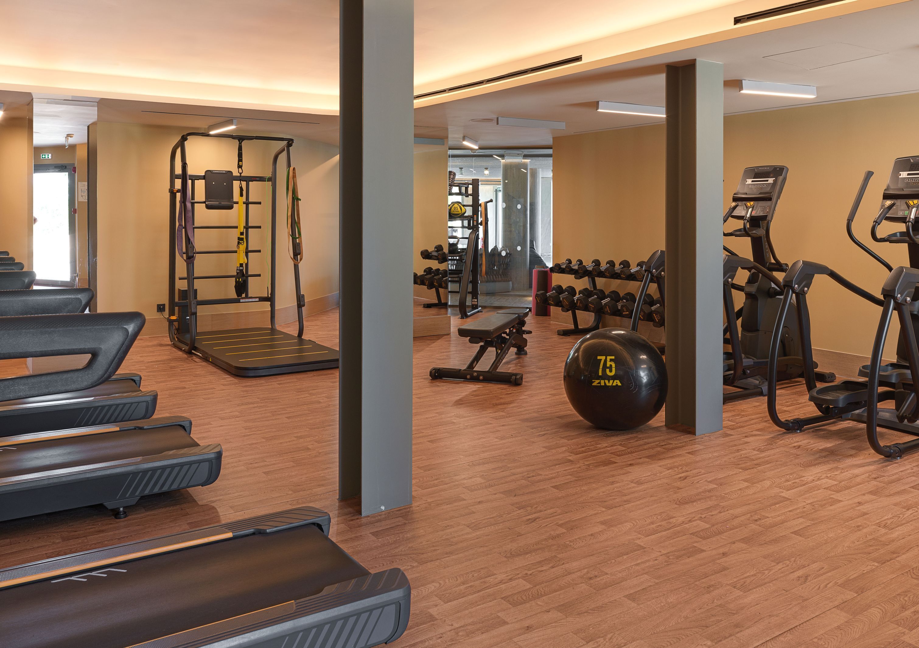 A gym with treadmills, a stationary bike, a rowing machine, and free weights.