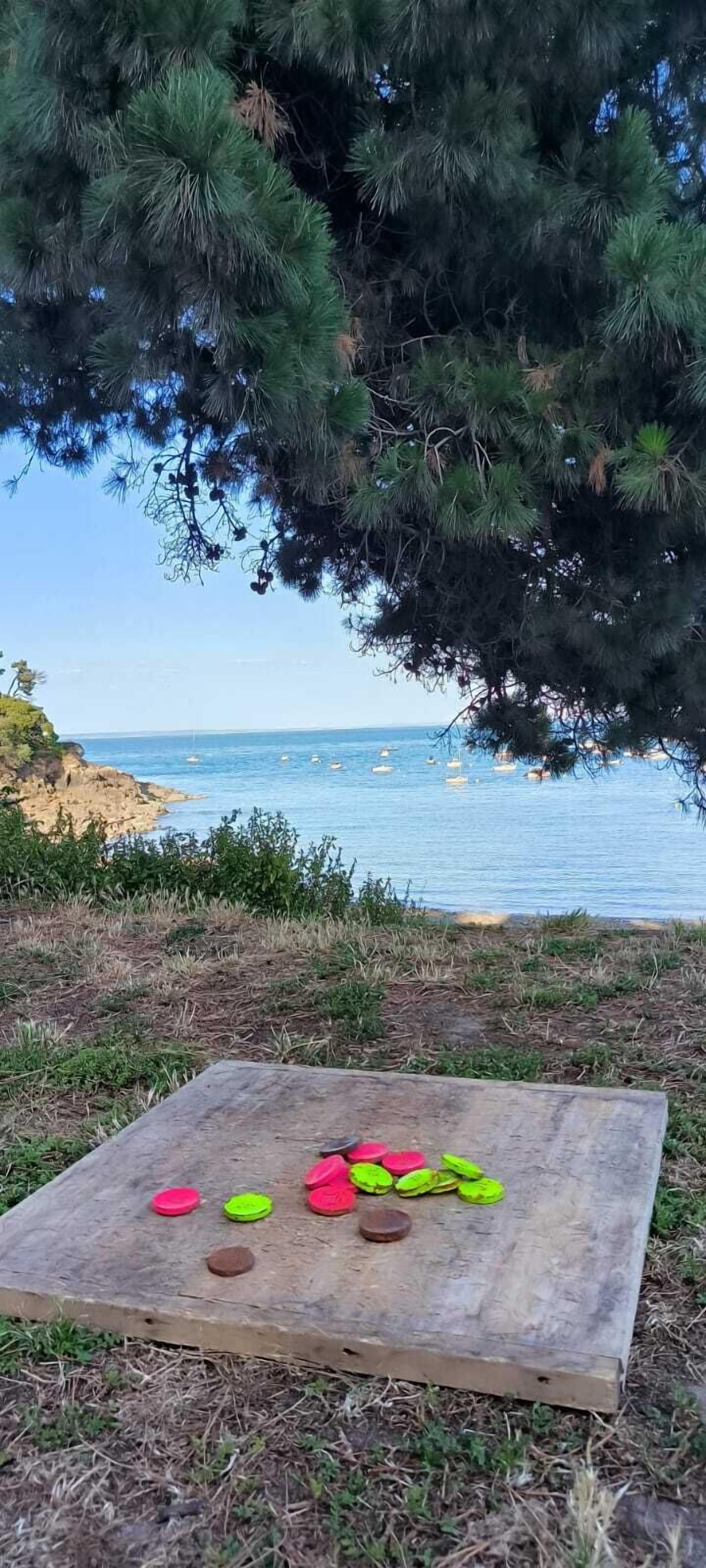 A wooden board with colorful discs on a grassy area near a coastal view.