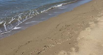 Lovingly renovated country house in the olive grove with large panoramic pool, air conditioning