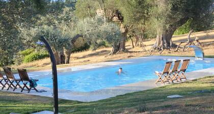 Lovingly renovated country house in the olive grove with large panoramic pool, air conditioning