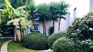 Un jardin avec un sentier en pierre, divers arbustes et de grands palmiers.