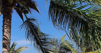 Appartamento a due passi dal mare con lettini e ombrellone privato