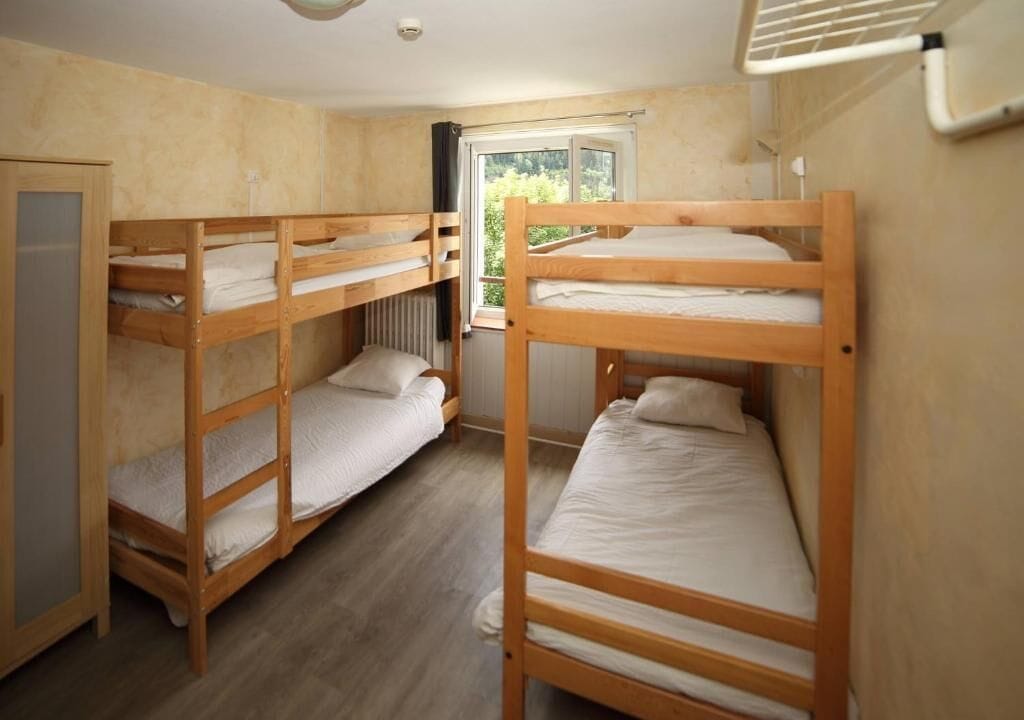 A dormitory room with bunk beds, a radiator, and a window with a view of greenery.