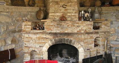 The Sharkov House