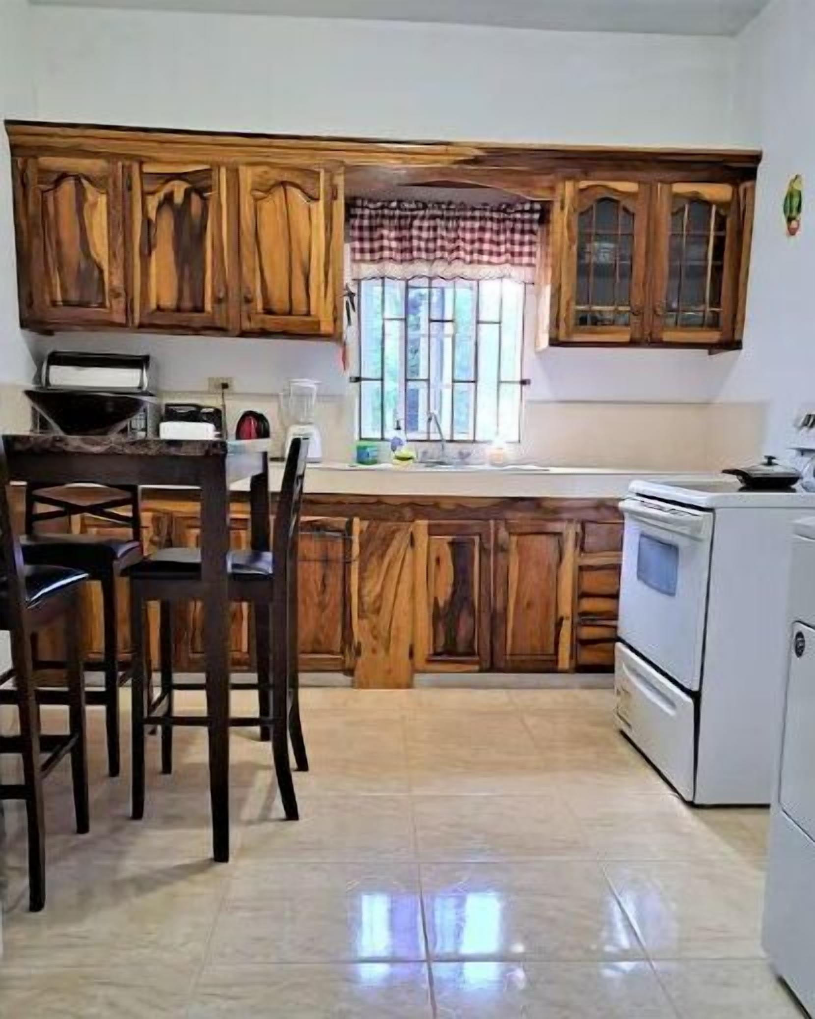 Kühlschrank, Mikrowelle, Herdplatte, Wasserkocher