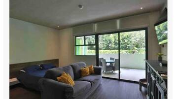 TV, computer monitors