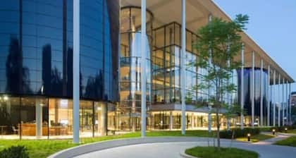 Peachy Paradise in the Heart of East Rock Near DT | Yale | SOM