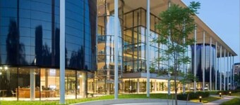 Peachy Paradise in the Heart of East Rock Near DT | Yale | SOM