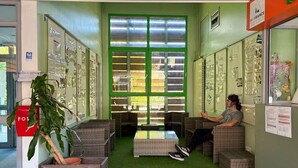Un área de recepción con paredes verdes, muebles de mimbre y un amplio ventanal.