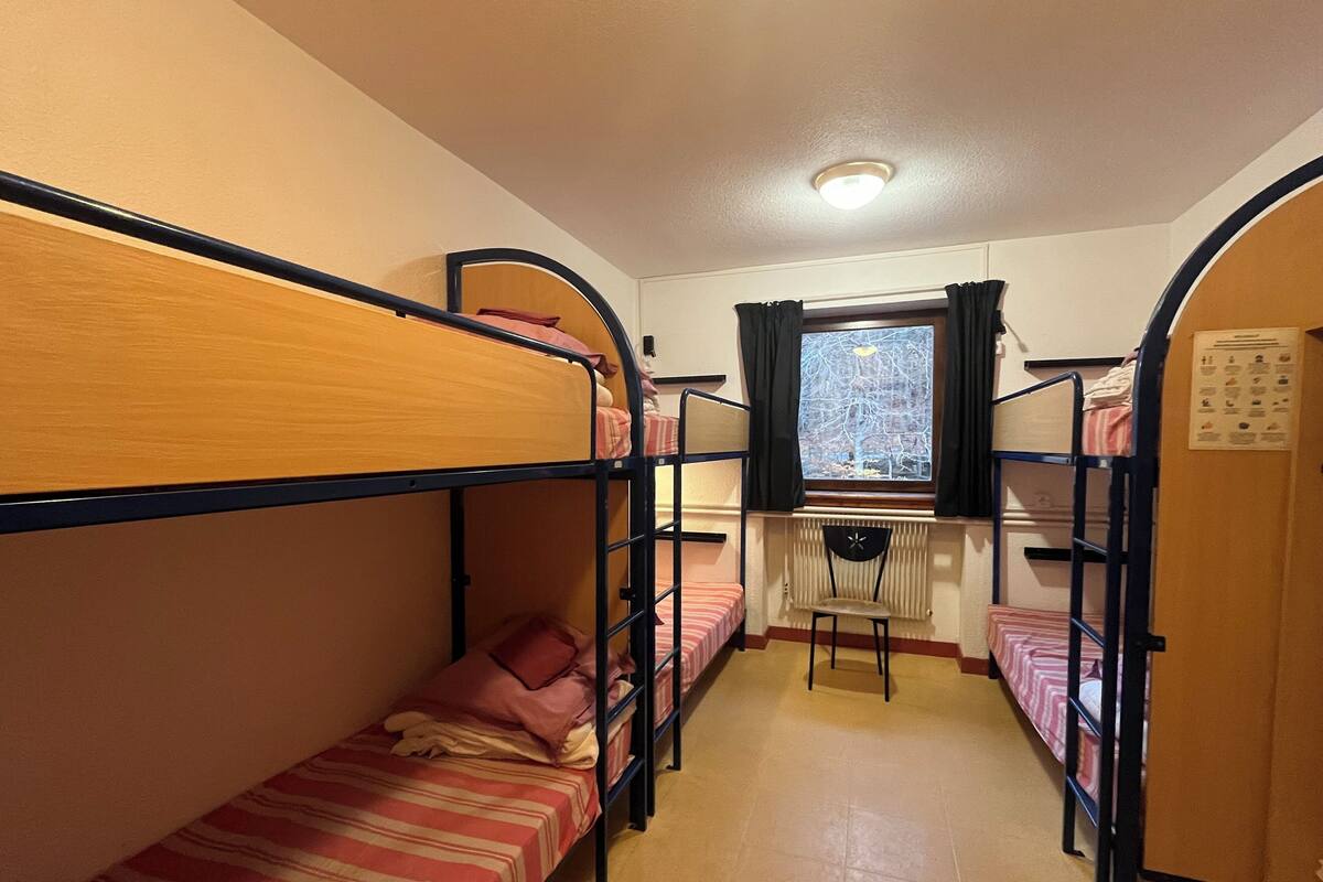A dormitory room with bunk beds, a desk, and a window with curtains.