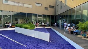 Een modern gebouw met een binnenplaats, voorzien van een blauw tapijt en zitplaatsen.