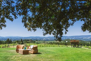 Exterior detail - Ormanni nel Chianti Classico (Poggibonsi)