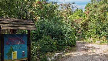 A signboard with text and a list, surrounded by dense greenery and a gravel path.