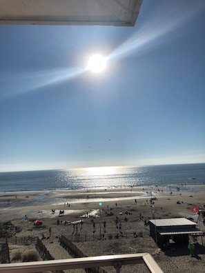 On the beach