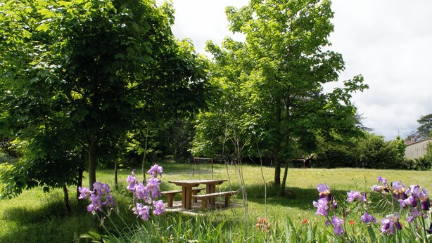 Un área de picnic con una mesa y bancos de madera, rodeada de exuberante follaje y flores moradas.