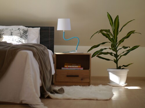 Cozy mountain studio Altavista