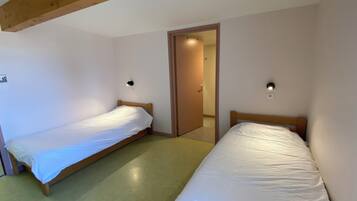 A room with two single beds, wooden headboards, and a sloped ceiling.
