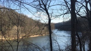 A river surrounded by leafless trees and a clear sky.