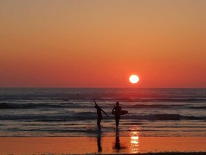 Beach - Willow Tree Shepherd's Hut with optional hot tub and shared EV charger. (Bude)