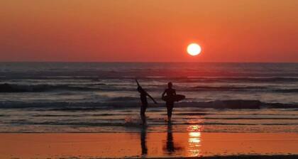 Willow Tree Shepherd's Hut with optional hot tub and shared EV charger.
