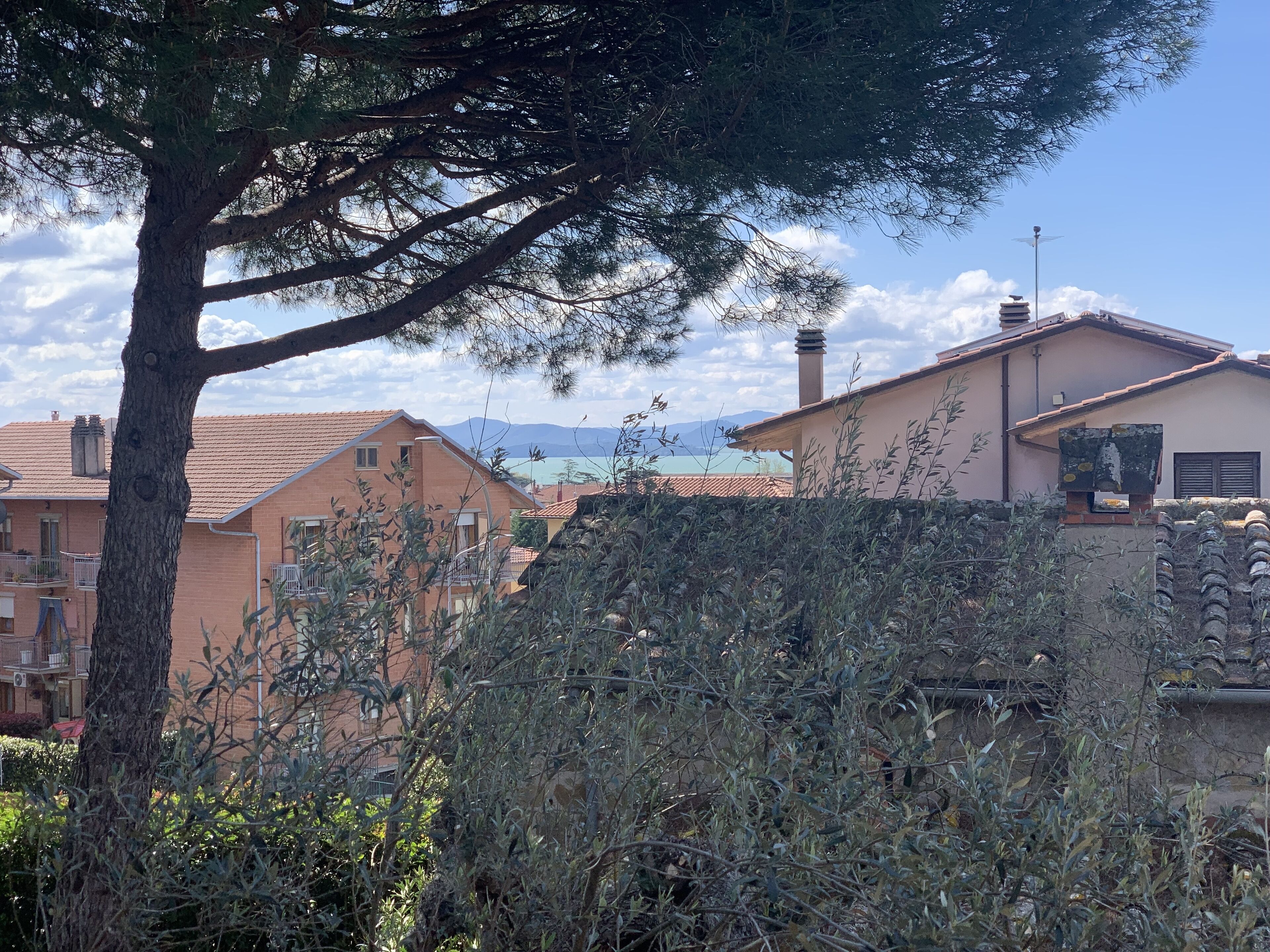 A residential area with houses, a tree, and a mountain in the background.