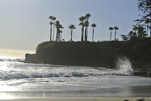 A beach with palm trees and waves crashing onto the shore. - Laguna Shores Studio Suites (Laguna Beach)