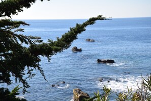 해변