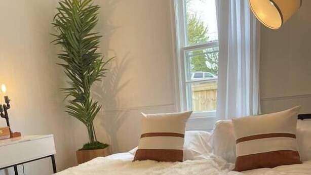 A bed with white bedding and brown stripes, a potted plant, a bedside table, and a window with curtains. - Pet Friendly, Extended Stay 30+ (Johnson City)