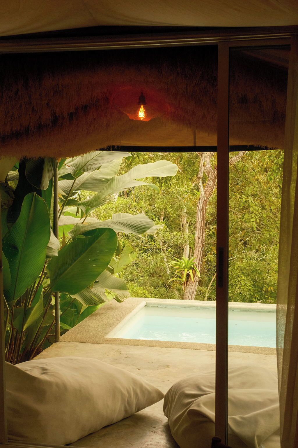 Superior Suite with Jacuzzi | Garden view