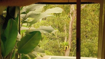 Superior Suite with Jacuzzi | Vista al jardín