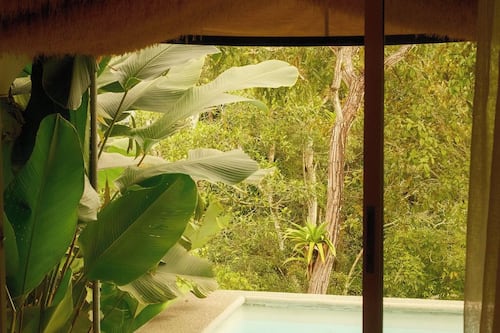 Sultana Tent with private pool | Vista al jardín