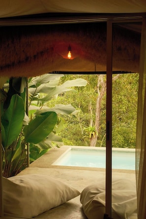 Superior Suite with Jacuzzi | Hageutsikt