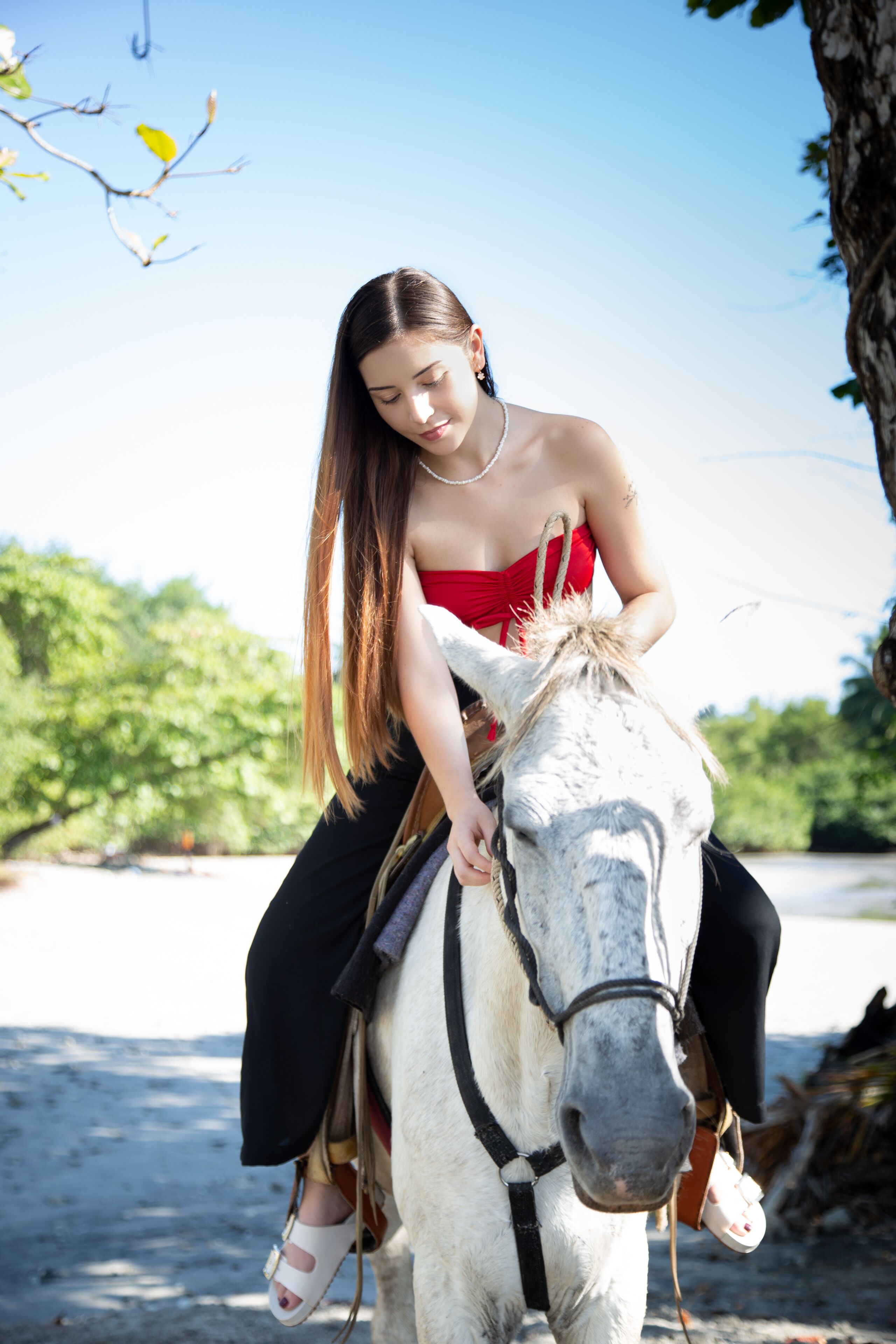 A person riding a white horse.