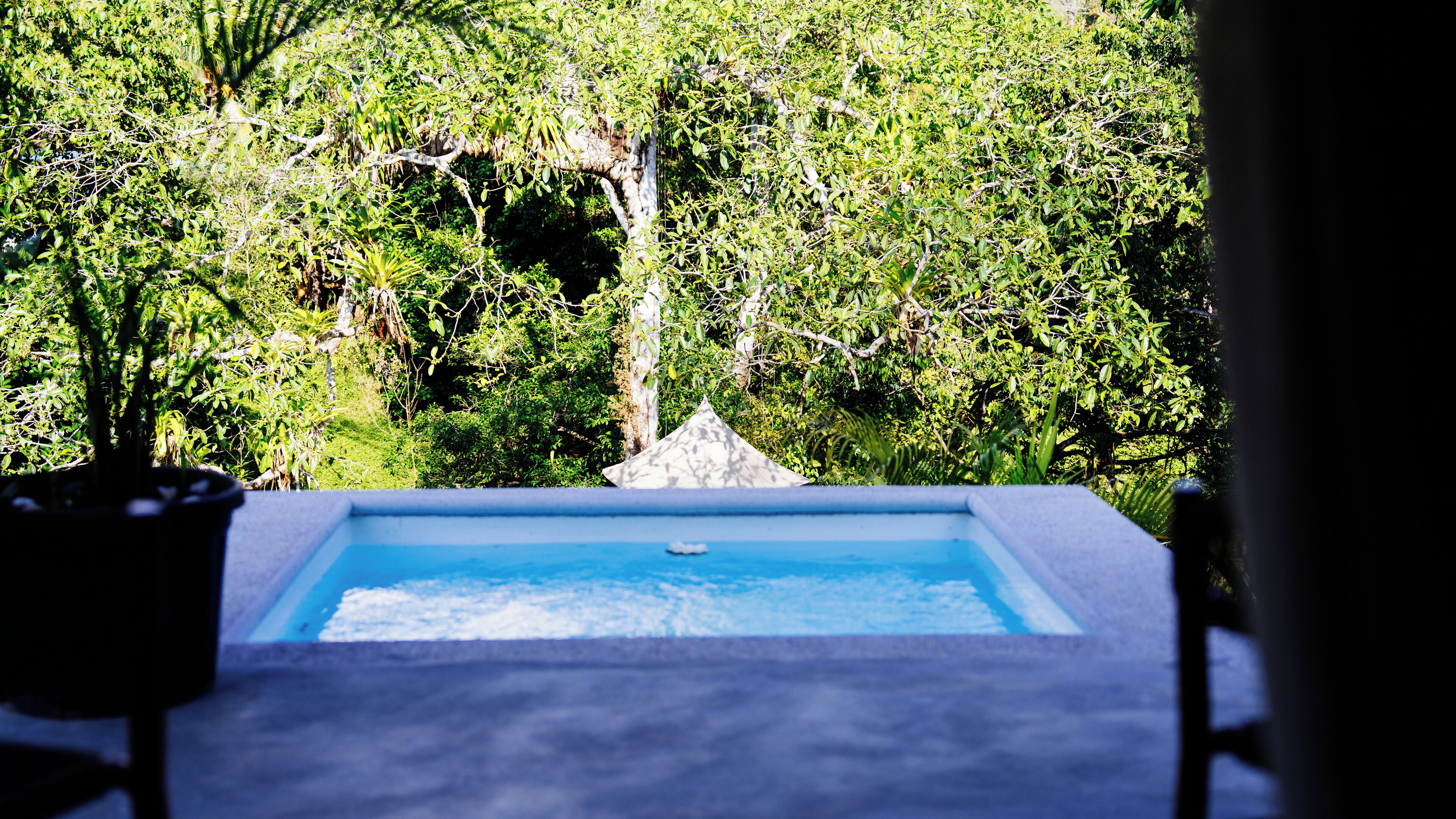 Superior Suite with Jacuzzi | Hồ bơi riêng