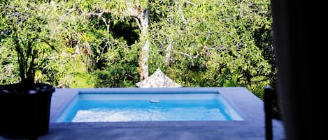 Superior Suite with Jacuzzi | Private pool