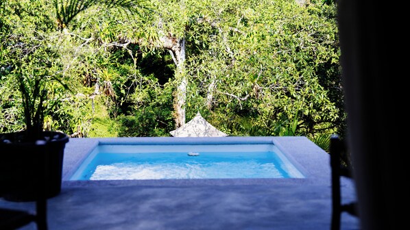 Superior Suite with Jacuzzi | Piscina particular