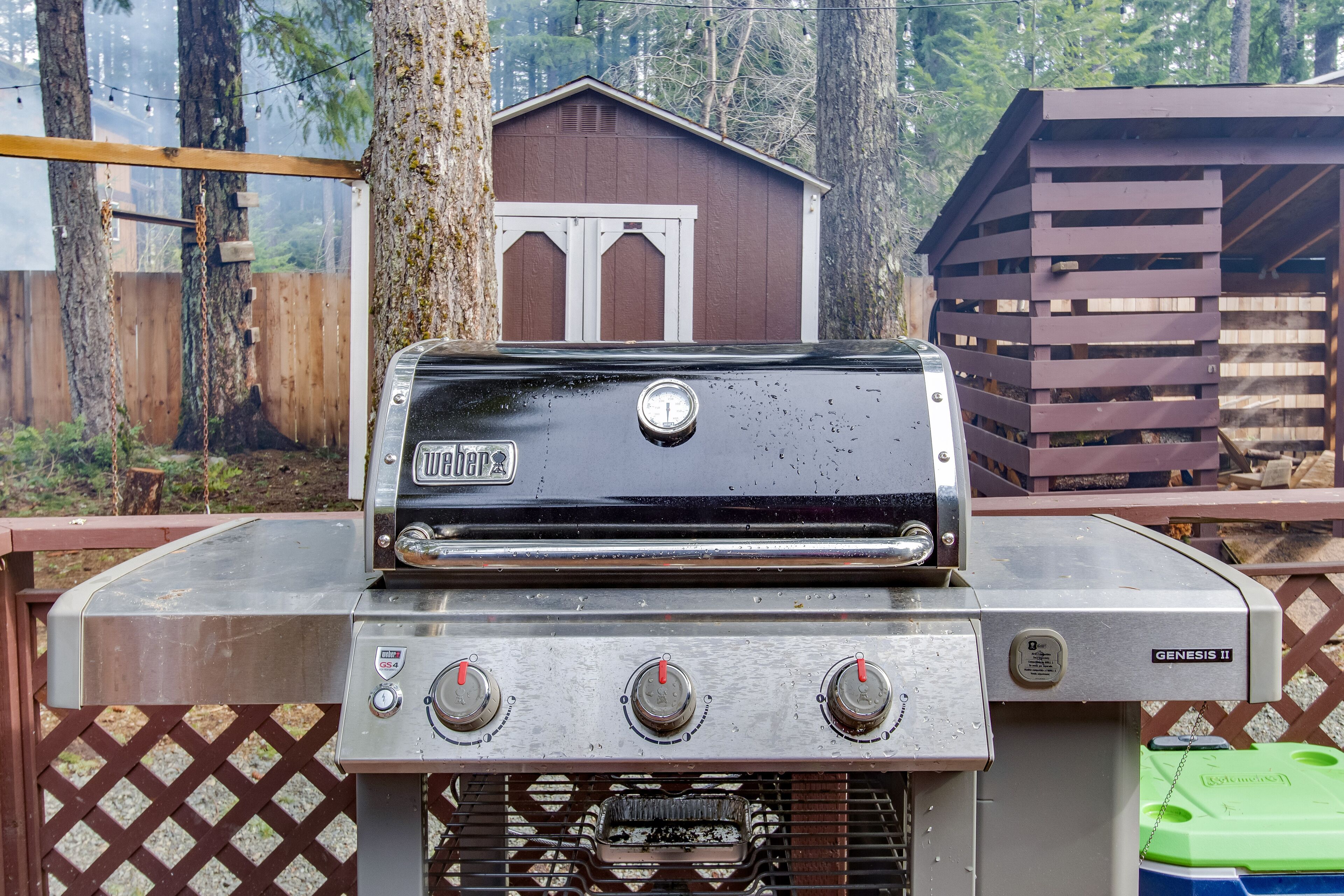 Una parrilla Weber Genesis II de acero inoxidable con tres perillas de control, frente a una cerca de madera y un cobertizo de madera en un área boscosa.